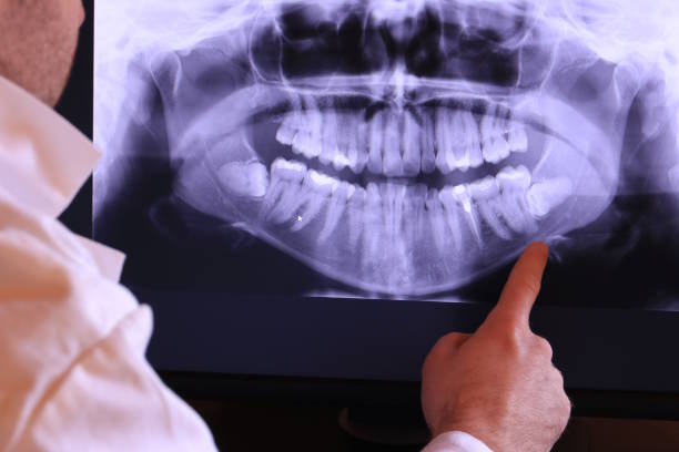 Best Emergency X-Rays and Diagnostics in Cozad, NE